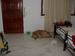 Recko_2009_02.JPG