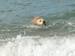 Recko_2009_12.JPG