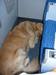 Recko_2009_14.JPG