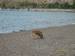 Recko_2009_40.JPG