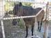 Recko_2009_50.JPG