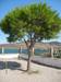 Recko_2009_53.JPG