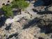 Recko_2009_59.JPG