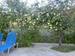 Recko_2009_61.JPG
