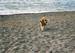 Recko_2009_65.jpg