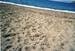 Recko_2009_68.jpg