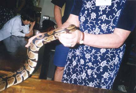 ZOO